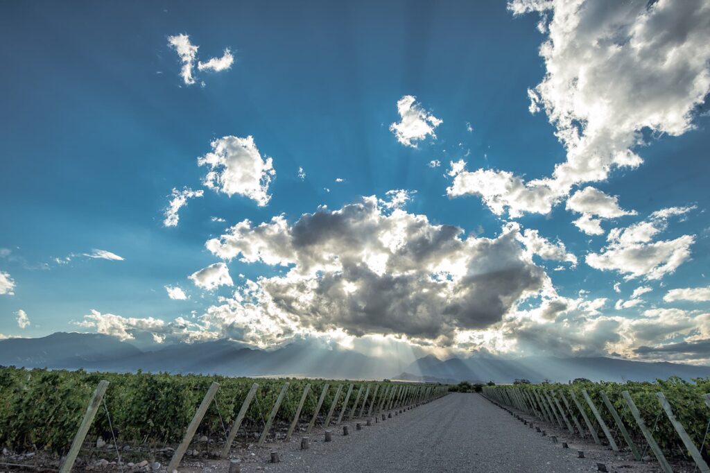 Valle de Uco