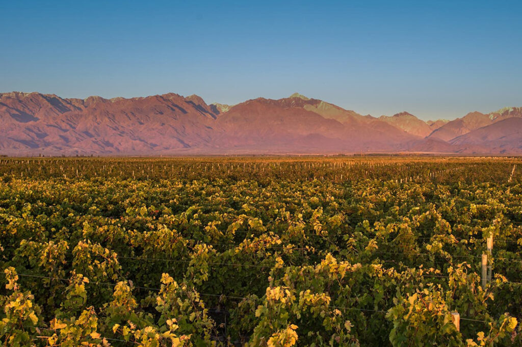 Valle de Uco