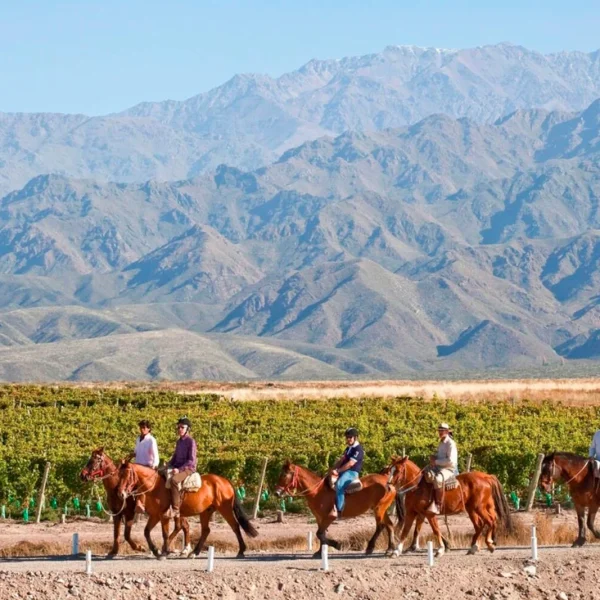 Guías bilingües especializados