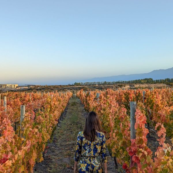 Itinerarios 100% personalizados