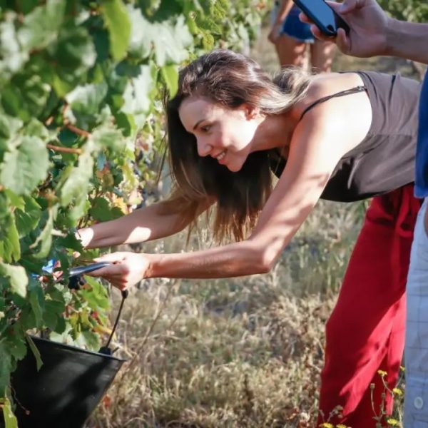 Atención cercana y profesional